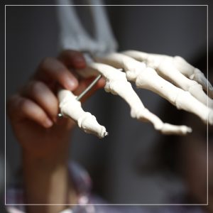 Marenka Leins Alexandertechnik